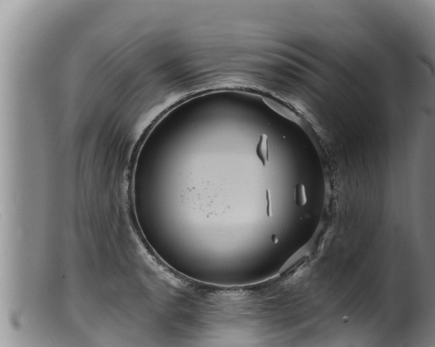 X0000099541134200805231120