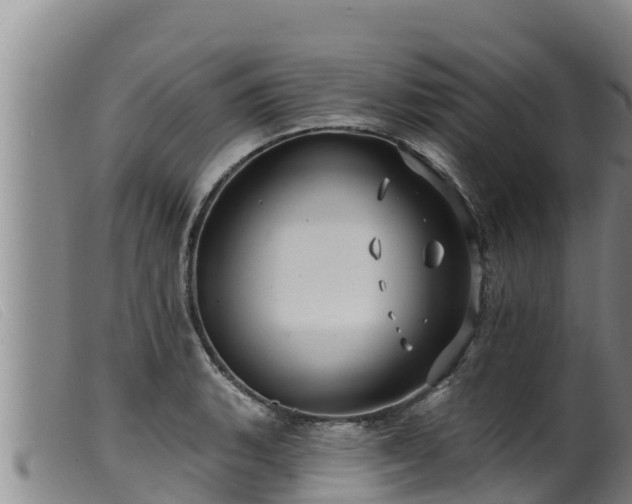 X0000099541135200805231120