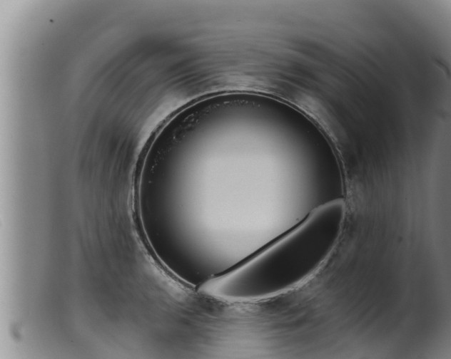 X0000099541136200805231120