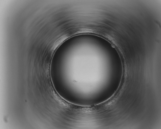 X0000099541137200805231120