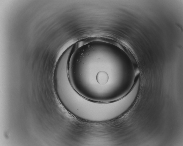 X0000099541138200805231120