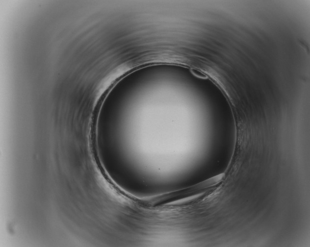 X0000099541139200805231120