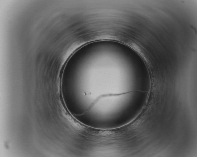 X0000099541140200805231120