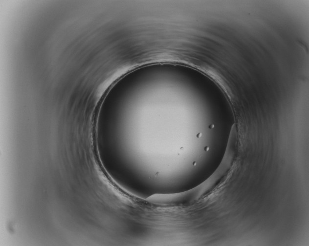 X0000099541142200805231120