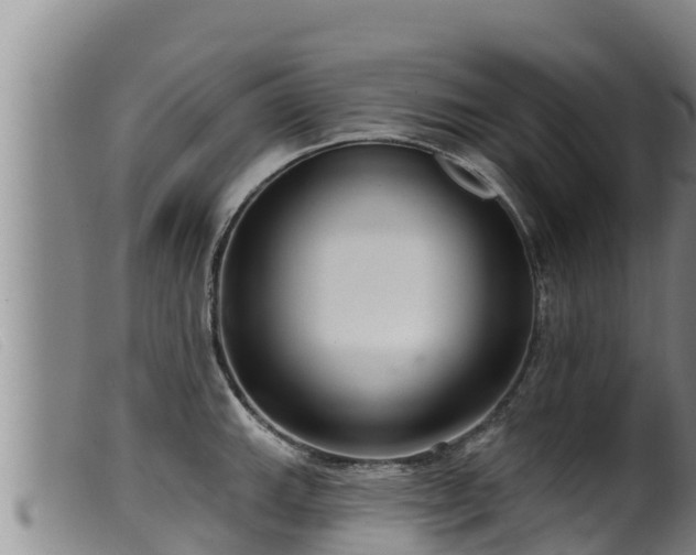 X0000099541143200805231120