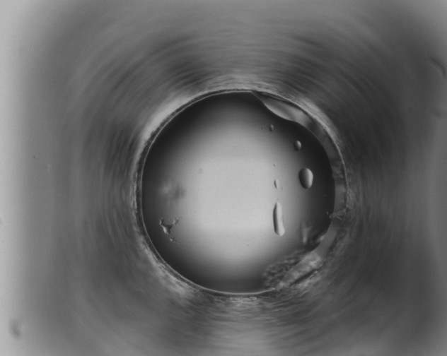 X0000099541144200805231120