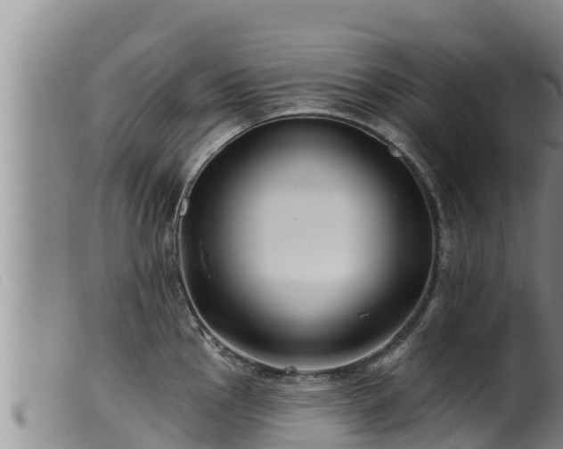 X0000099541145200805231120