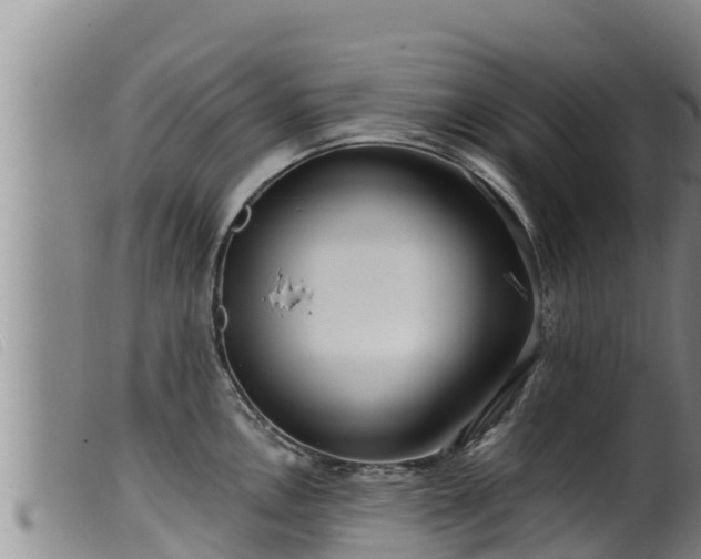 X0000099541146200805231120