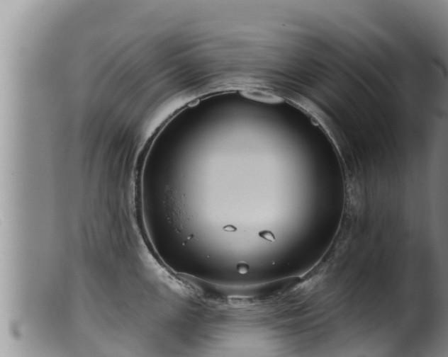 X0000099541147200805231120