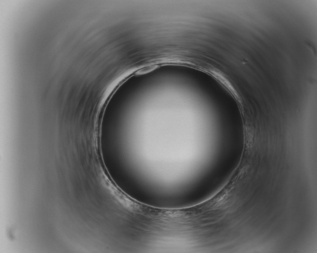 X0000099541148200805231120