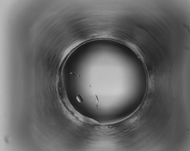 X0000099541149200805231120