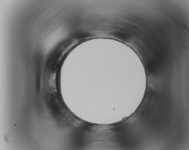 X0000099541150200805231120