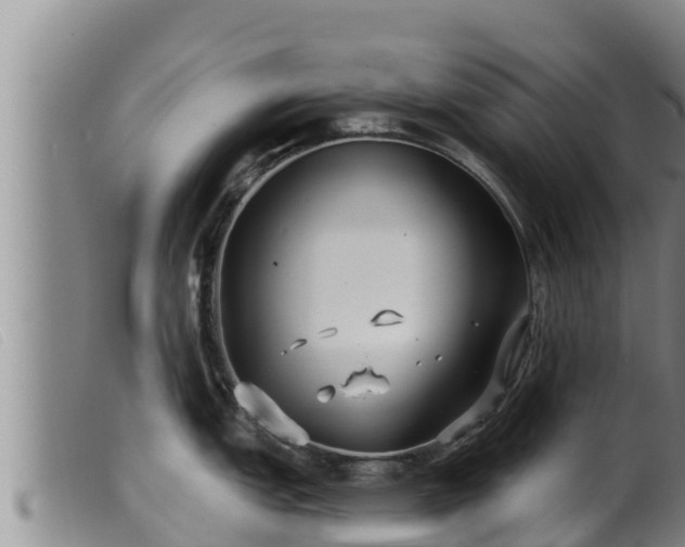 X0000099541151200805231120