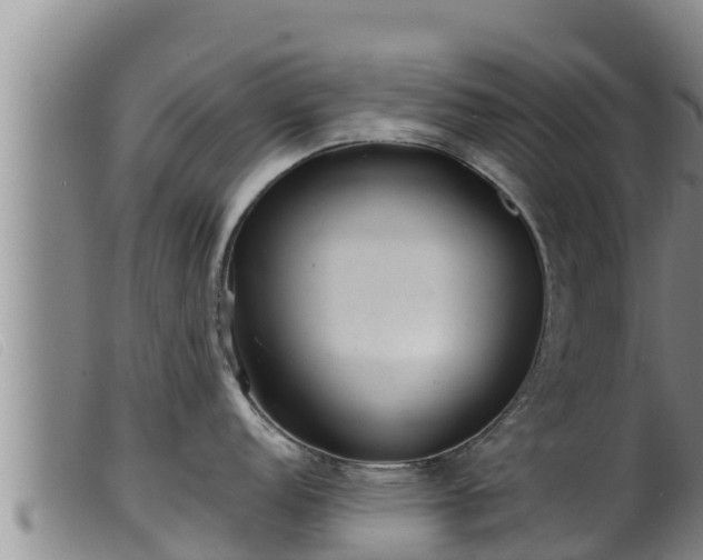 X0000099541152200805231120