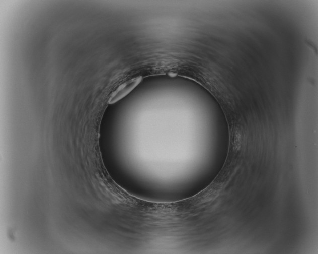 X0000099541153200805231119