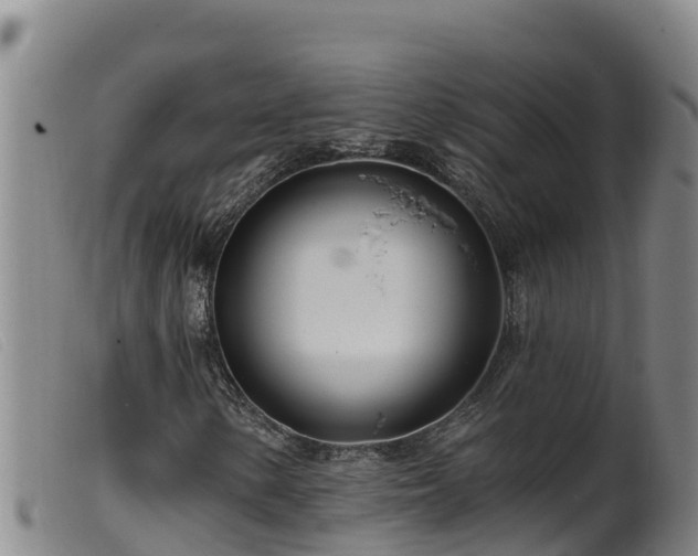 X0000099541154200805231119