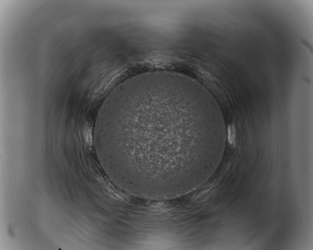 X0000099541155200805231119