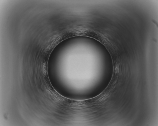 X0000099541156200805231119