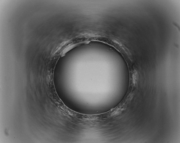 X0000099541157200805231119