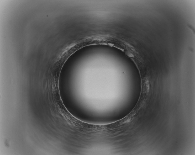 X0000099541158200805231119