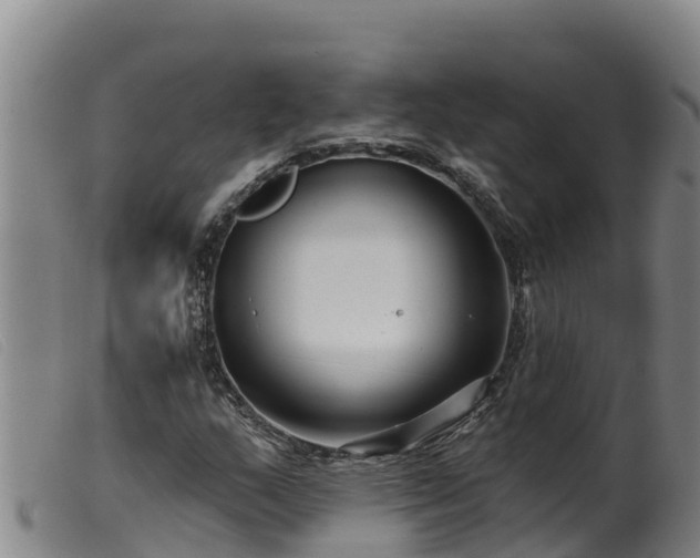 X0000099541159200805231119