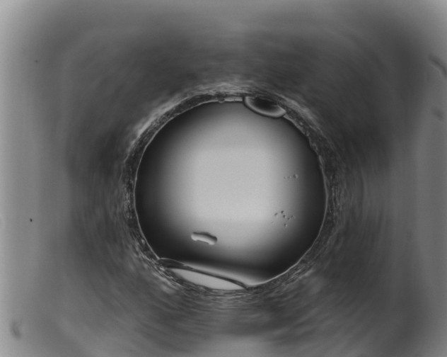 X0000099541160200805231119