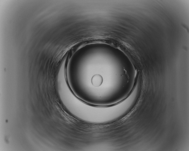 X0000099541161200805231119