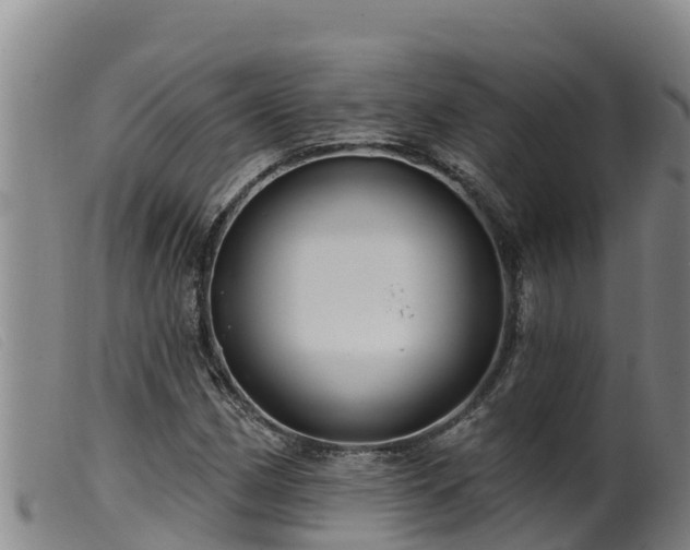 X0000099541162200805231119