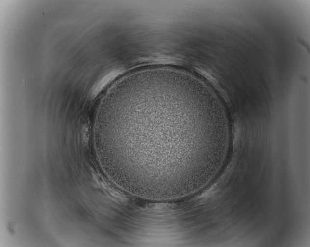 X0000099541163200805231119