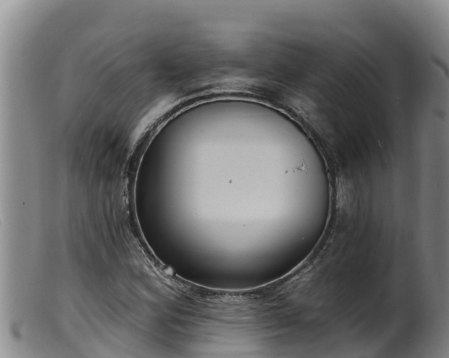 X0000099541164200805231119