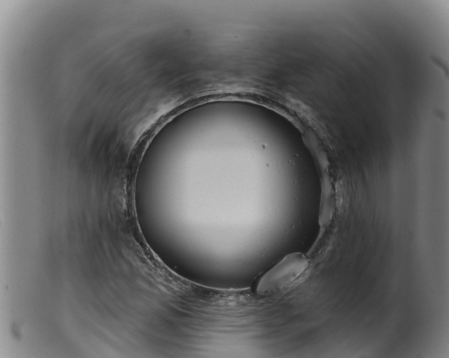 X0000099541165200805231119