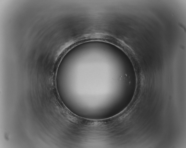 X0000099541166200805231119