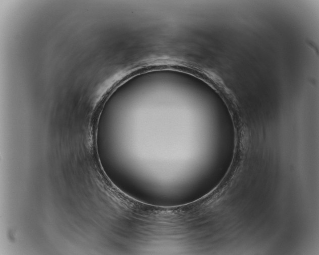 X0000099541167200805231119