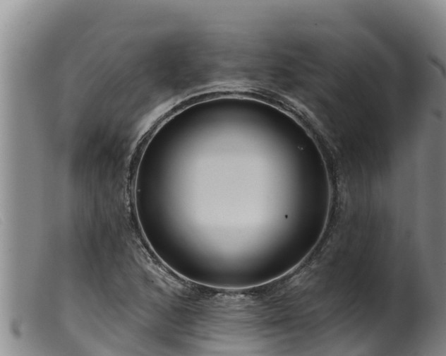 X0000099541168200805231119