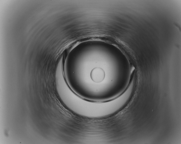 X0000099541169200805231119