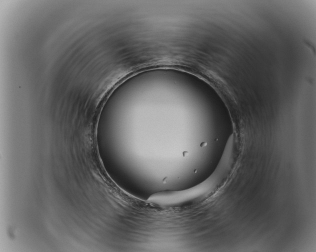 X0000099541170200805231119