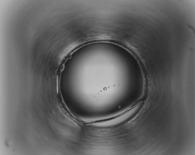 X0000099541171200805231119