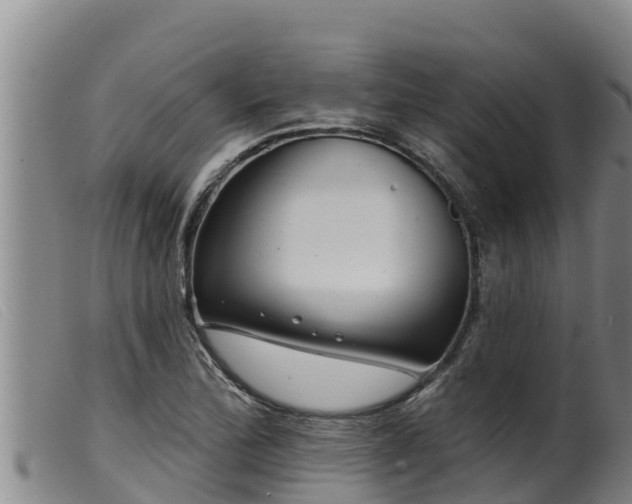 X0000099541172200805231119