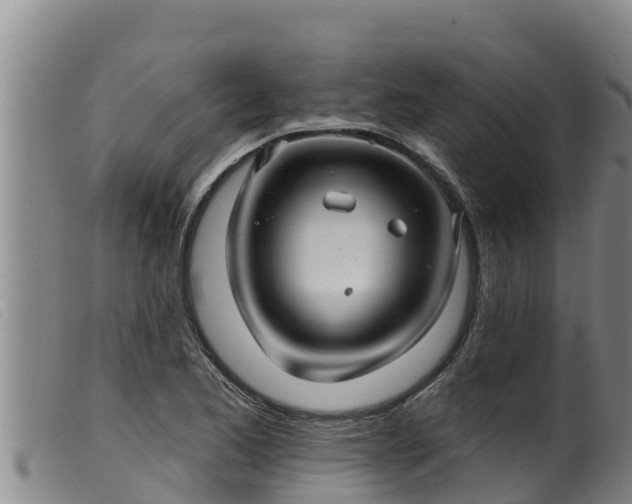 X0000099541173200805231119