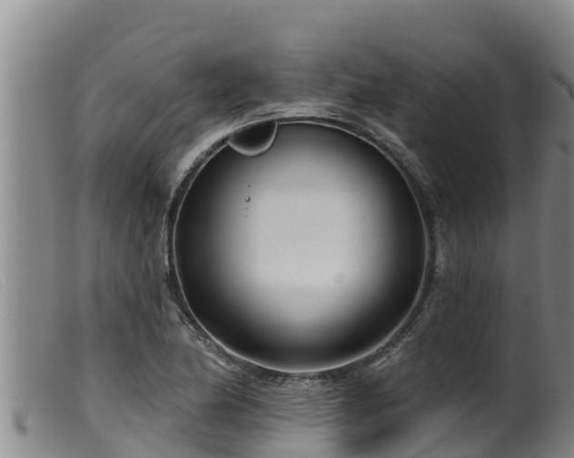 X0000099541174200805231119