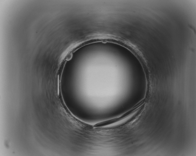 X0000099541175200805231119