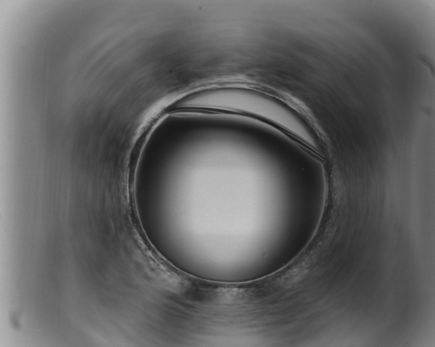 X0000099541176200805231119