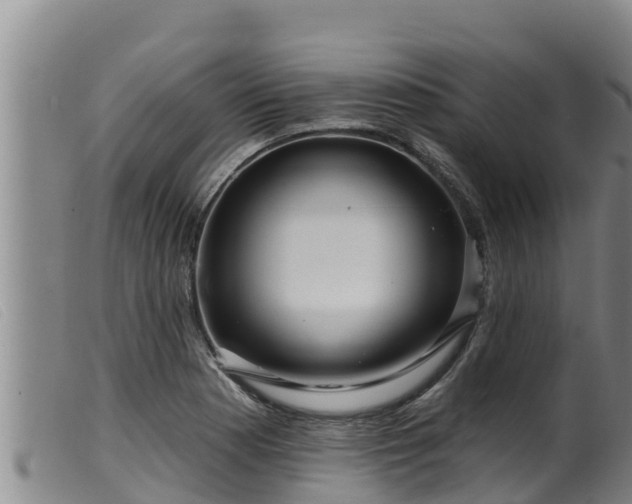 X0000099541177200805231119