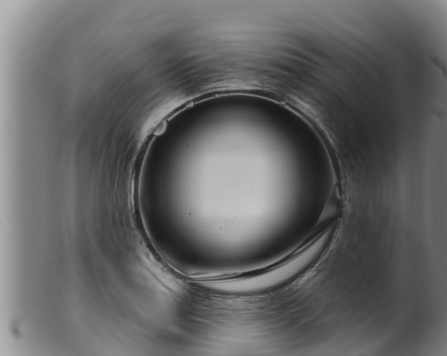 X0000099541179200805231119