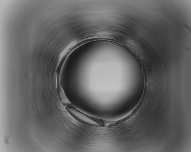 X0000099541180200805231119