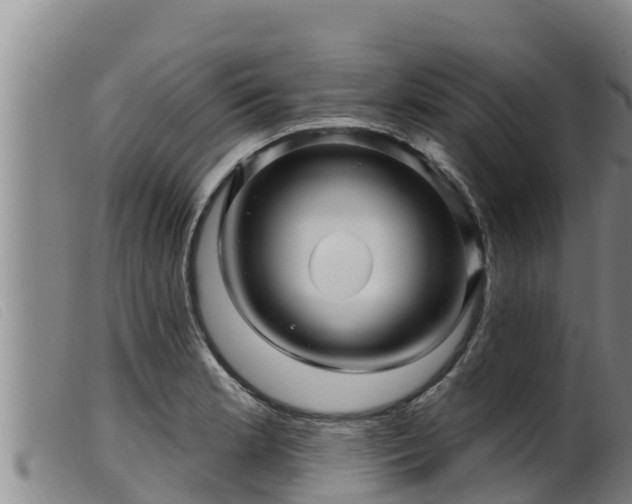 X0000099541181200805231119