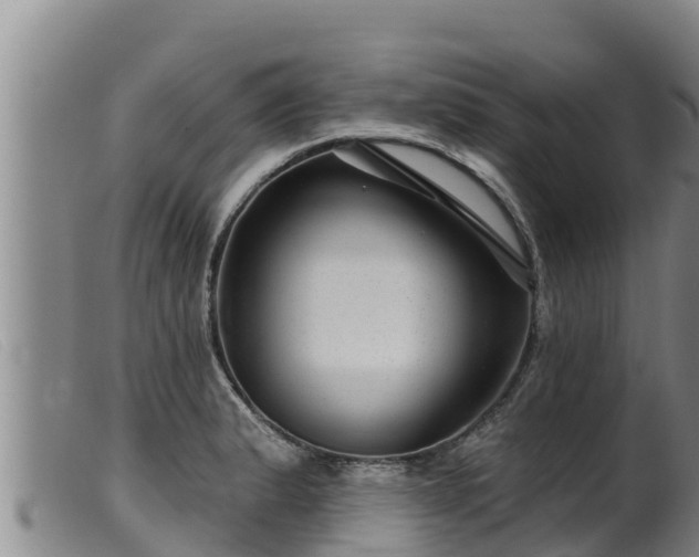 X0000099541183200805231119