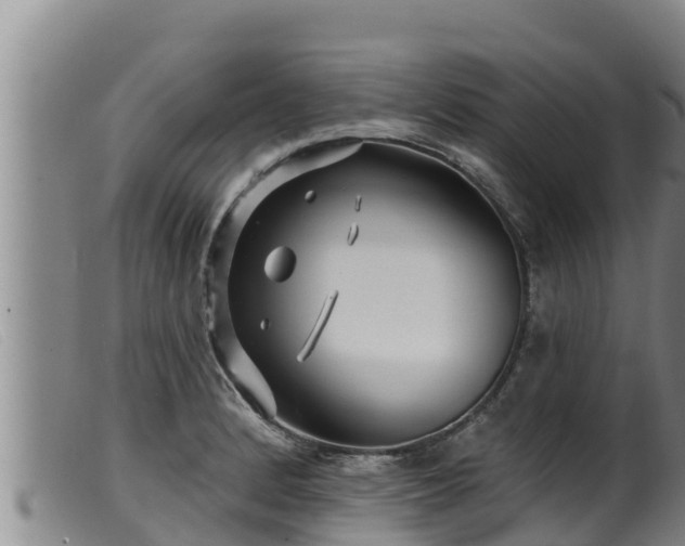 X0000099541184200805231119