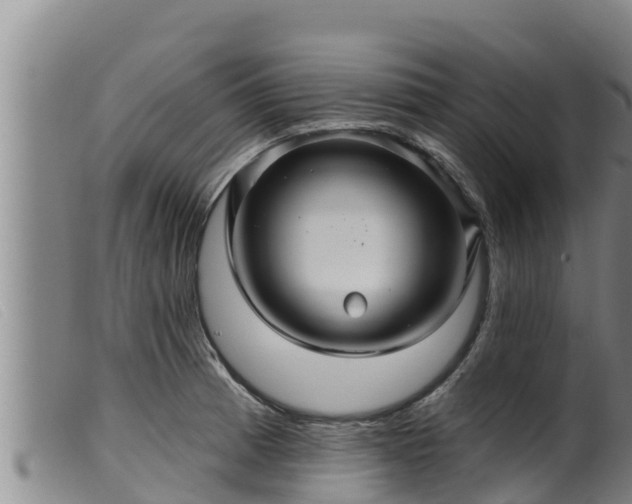 X0000099541185200805231119