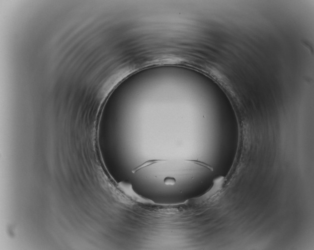 X0000099541186200805231119